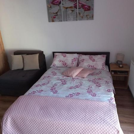 Banja Koviljača Apartman Moka מראה חיצוני תמונה